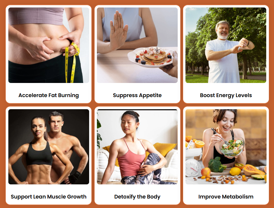 AlkaBurn benefits — metabolism, appetite, energy, weight management